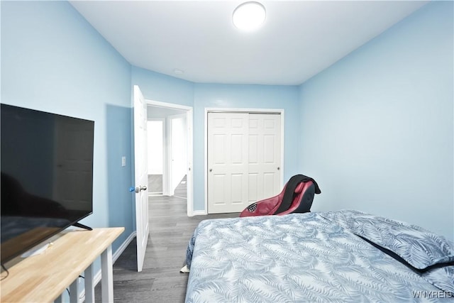 290 Riverside Ave, Buffalo, NY 14207 - bedroom with wood finished floors and a closet