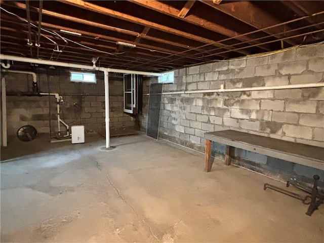 20-22 N Belmont Cir, Oneonta, NY 13820 - view of below grade area