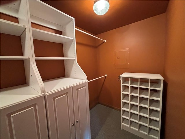 20-22 N Belmont Cir, Oneonta, NY 13820 - spacious closet featuring electric panel and carpet