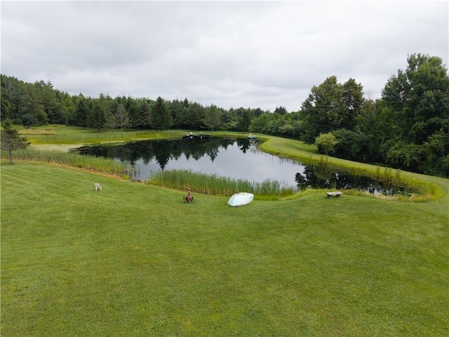 970 Miller Hill Rd, Burns, NY 14807 - photo 7