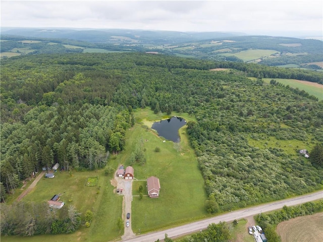970 Miller Hill Rd, Burns, NY 14807 - photo 32