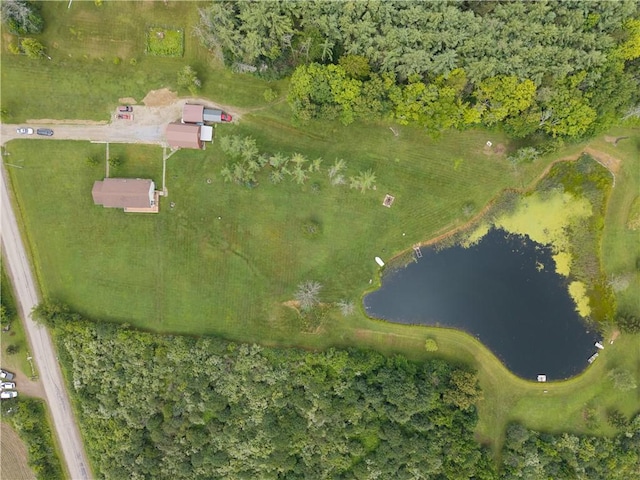 970 Miller Hill Rd, Burns, NY 14807 - photo 33