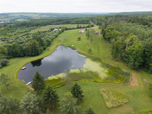 970 Miller Hill Rd, Burns, NY 14807 - photo 34
