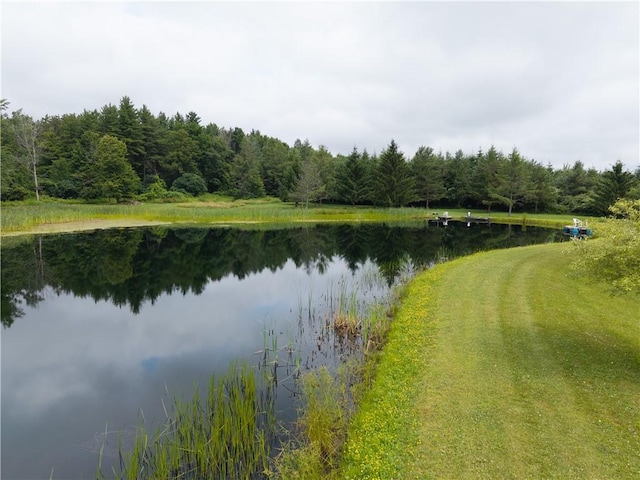 970 Miller Hill Rd, Burns, NY 14807 - photo 35