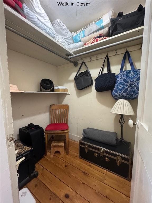 44 Bloom St, Butternuts, NY 13776 - walk in closet with hardwood / wood-style flooring
