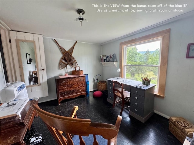 44 Bloom St, Butternuts, NY 13776 - office with ornamental molding and baseboards