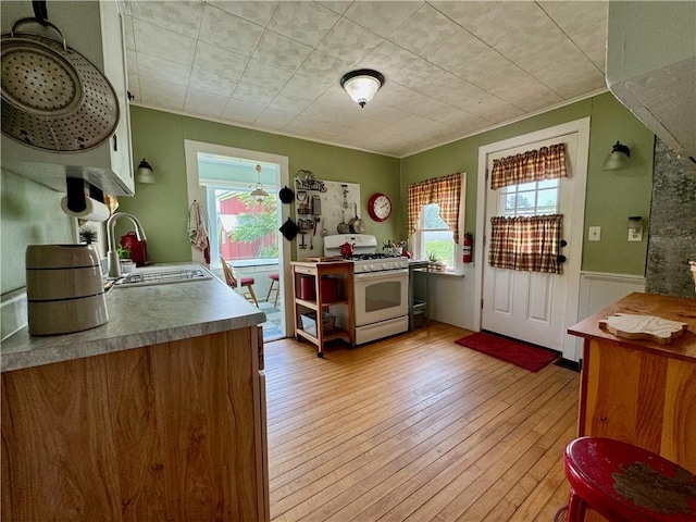 44 Bloom St, Butternuts, NY 13776 - kitchen with white gas range oven, wainscoting, light wood-style flooring, and crown molding