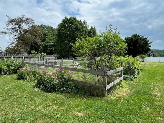 44 Bloom St, Butternuts, NY 13776 - view of yard
