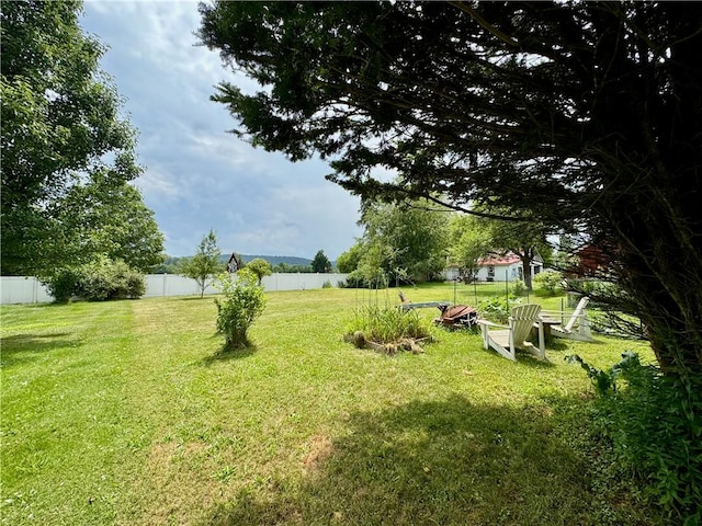 44 Bloom St, Butternuts, NY 13776 - view of yard