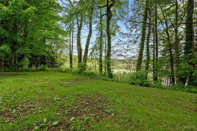 82 County Route 45, Hastings, NY 13076 - photo 48
