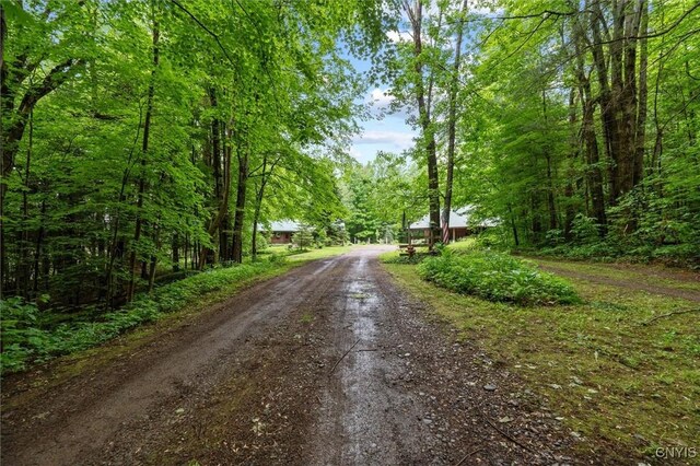 82 County Route 45, Hastings, NY 13076 - photo 49