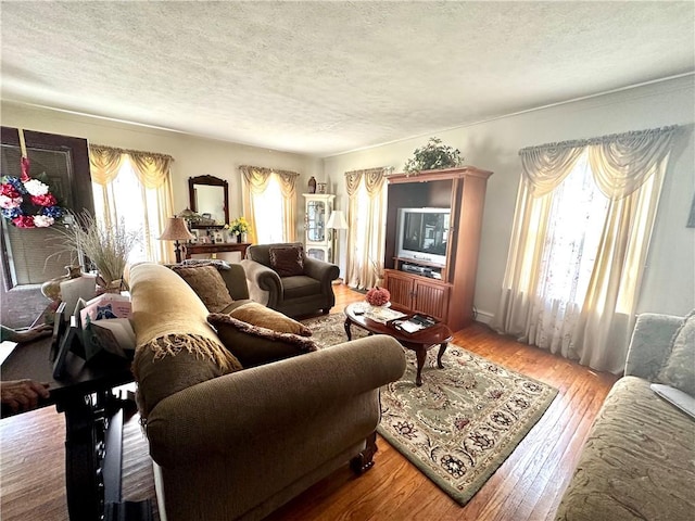 750 Reservoir St, Elmira City, NY 14905 - living room featuring a textured ceiling and hardwood / wood-style flooring