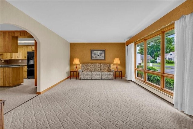 12 Sunset Dr, Afton, NY 13730 - living area featuring light carpet, arched walkways, and a baseboard radiator
