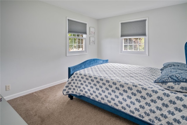 34 Stonewall Ct, Greece, NY 14615 - bedroom with multiple windows and carpet flooring