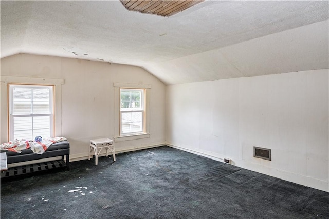 11 Walnut St, Phelps, NY 14533 - bonus room featuring lofted ceiling, dark colored carpet, and a textured ceiling