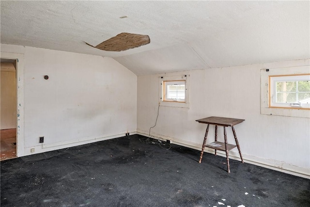11 Walnut St, Phelps, NY 14533 - empty room featuring vaulted ceiling, a textured ceiling, and carpet floors