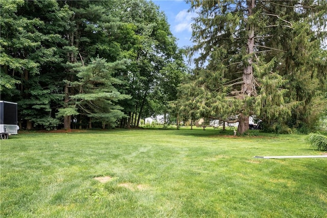 11 Walnut St, Phelps, NY 14533 - view of green lawn