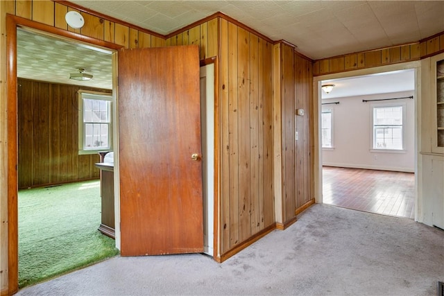 11 Walnut St, Phelps, NY 14533 - hallway featuring carpet, wooden walls, and ornamental molding