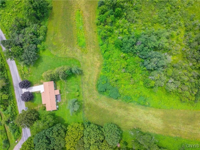 387 Brennan Rd, Columbia, NY 13357 - photo 40