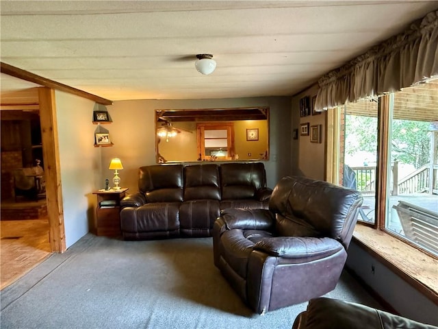 1796 Gladstone Hollow Rd, Andes, NY 13731 - view of carpeted living room