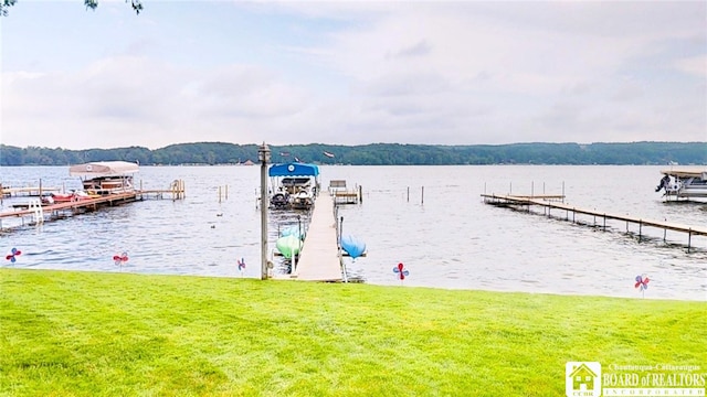 5536 Wells Bay Rd, North Harmony, NY 14710 - photo 9