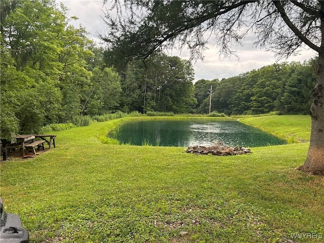 13270 Parker Rd, Holland, NY 14080 - photo 3