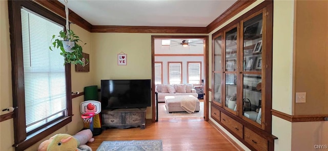 45 Evergreen St, Cortland, NY 13045 - photo 16