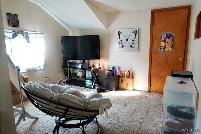 104 Argus St, Buffalo, NY 14207 - carpeted living area with a textured ceiling