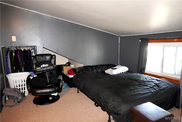 104 Argus St, Buffalo, NY 14207 - bedroom featuring carpet