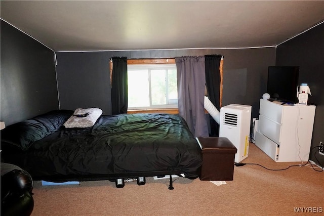 104 Argus St, Buffalo, NY 14207 - bedroom with light carpet