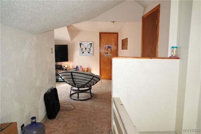 104 Argus St, Buffalo, NY 14207 - hall with carpet flooring