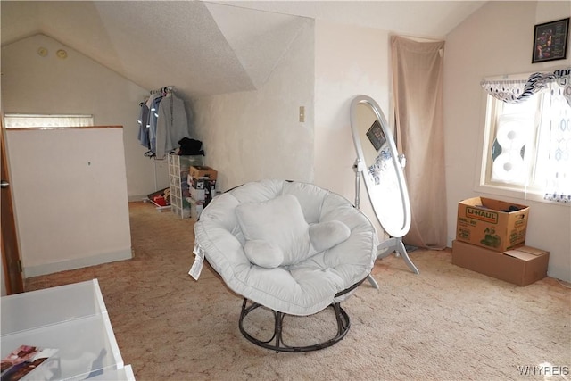 104 Argus St, Buffalo, NY 14207 - living area featuring vaulted ceiling and carpet