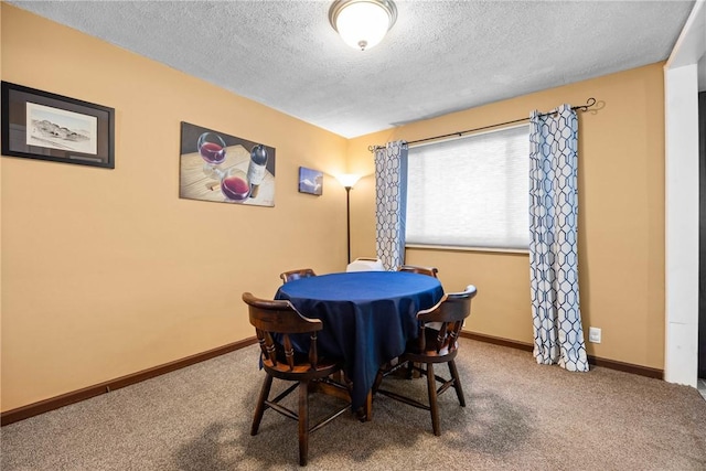 120 Furlong Rd, Brighton, NY 14623 - dining area featuring a textured ceiling and carpet flooring