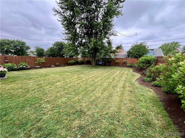 858 Starin Ave, Tonawanda, NY 14223 - view of fenced backyard