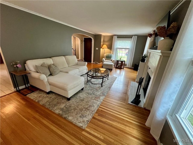 858 Starin Ave, Tonawanda, NY 14223 - living area featuring arched walkways, ornamental molding, light wood-type flooring, and a fireplace with flush hearth