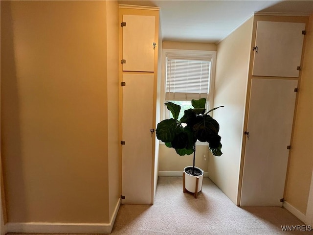 858 Starin Ave, Tonawanda, NY 14223 - corridor featuring light carpet