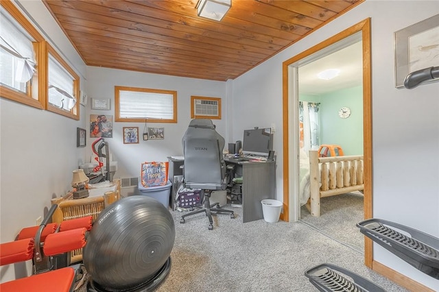 917 W Gray St, Elmira, NY 14905 - carpeted office space featuring wooden ceiling