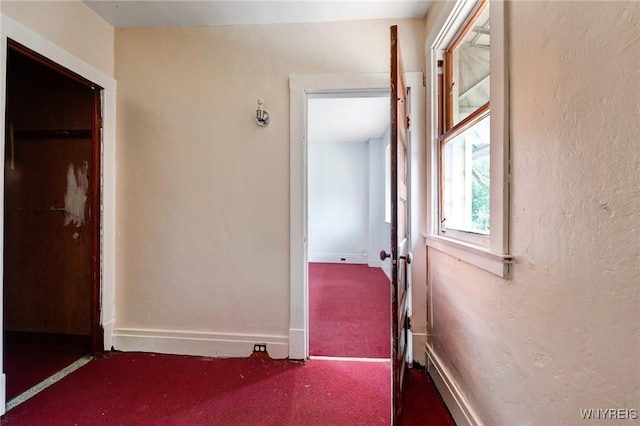 75 Schutrum St, Buffalo, NY 14212 - corridor featuring carpet and baseboards