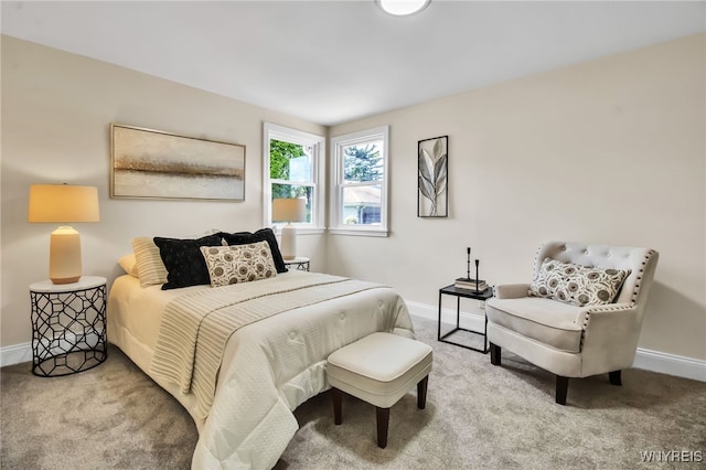 101 Kurtz Ave, Lancaster, NY 14086 - bedroom with carpet and baseboards