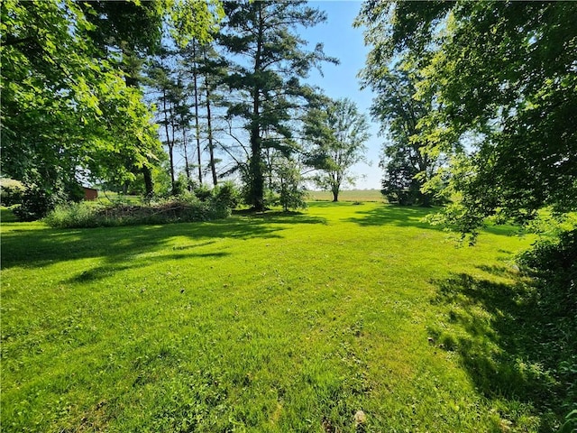 4400 State Route 414, Fayette, NY 13065 - photo 29