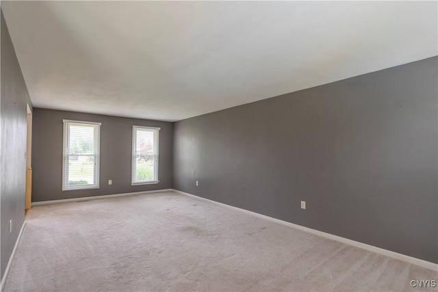 8199 Constable Dr, Clay, NY 13090 - photo 28