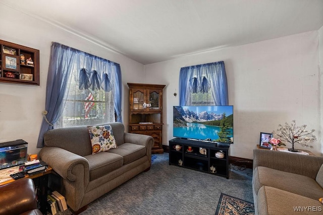 19 Reed St, Lockport City, NY 14094 - living area with carpet flooring