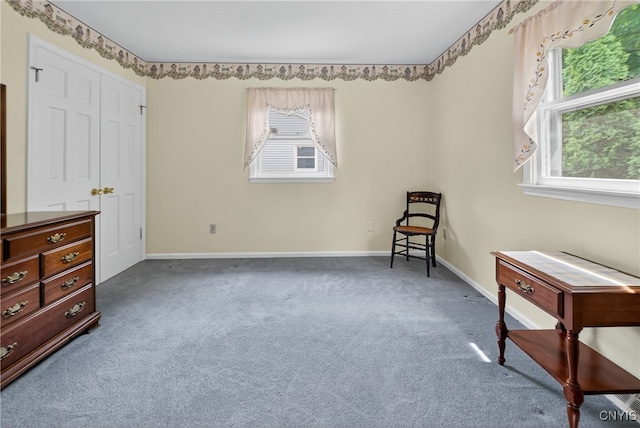 7569 Northfield Ln, Manlius, NY 13104 - sitting room featuring carpet flooring and plenty of natural light