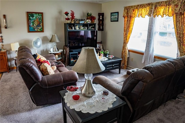 3 Willow Dr, Erwin, NY 14870 - carpeted living area featuring baseboards