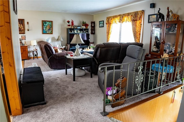 3 Willow Dr, Erwin, NY 14870 - view of carpeted living area
