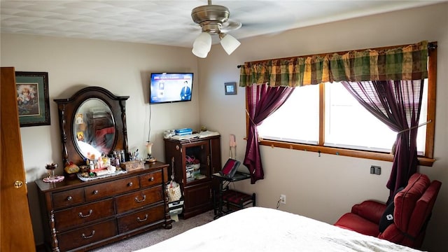 3 Willow Dr, Erwin, NY 14870 - bedroom with carpet and ceiling fan
