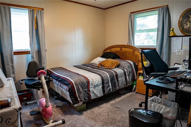3 Willow Dr, Erwin, NY 14870 - bedroom featuring carpet, ornamental molding, and a desk