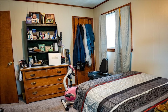 3 Willow Dr, Erwin, NY 14870 - carpeted bedroom featuring crown molding