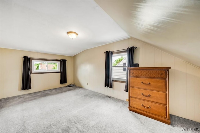 159 Beale Ave, Cheektowaga, NY 14225 - unfurnished bedroom with multiple windows, carpet, and lofted ceiling