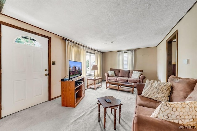 159 Beale Ave, Cheektowaga, NY 14225 - living area featuring light carpet, plenty of natural light, and a textured ceiling